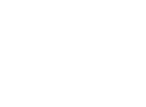 Logo_CLPartner_Color_partner_klevu